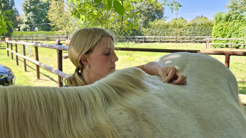 Tierosteopathie Busse – Nina Busse bei der Behandlung